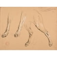 thumbnail image 3 of Jacques-Raymond Brascassat 24x19 Black Modern Framed Museum Art Print Titled - Study of Legs and Dog Tail, 3 of 5