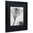 thumbnail image 2 of Moises Levy 'Flowers on Ice-13' Black Matted Framed Art, 2 of 5