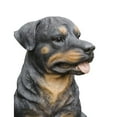 thumbnail image 2 of Hi- Line Gift 87688 Decorative Rottweiler Sitting Large Dog Statue, 2 of 3