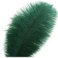 thumbnail image 2 of Blackish Green Ostrich Feathers Bulk- 24pcs 10-12inch for Wedding Party Centerpieces Christmas Decor, 2 of 14