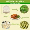 thumbnail image 5 of Disposable dinner plates biodegradable pulp plates bamboo fiber round tableware food grade cake paper plates dinner plates 20 pcs 6 inches, 5 of 9
