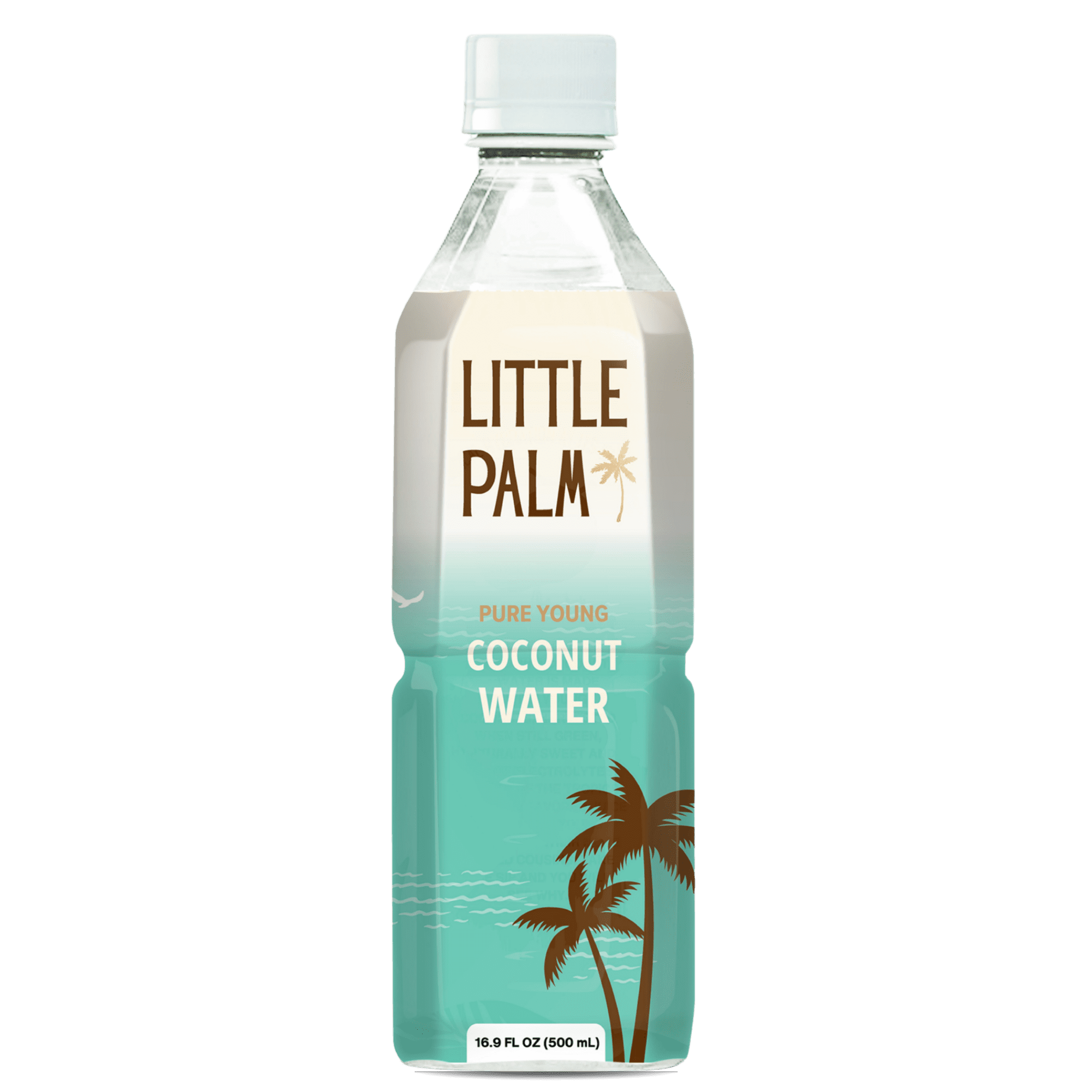 Little Palm Coconut Water, No Added Sugar, 500mL, 12-Pack