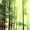 Misty Green Forest, variant on Misty Green Forest Flannel Bath Mat 16x24 Inches, Soft Absorbent Non-Slip Bathroom Rug, Machine Washable Floor Mat for Shower