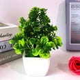 thumbnail image 2 of 1Pcs Artificial Plants Odorless Colorfast Plastic Artificial Potted Plants for Home Decoration, 2 of 7