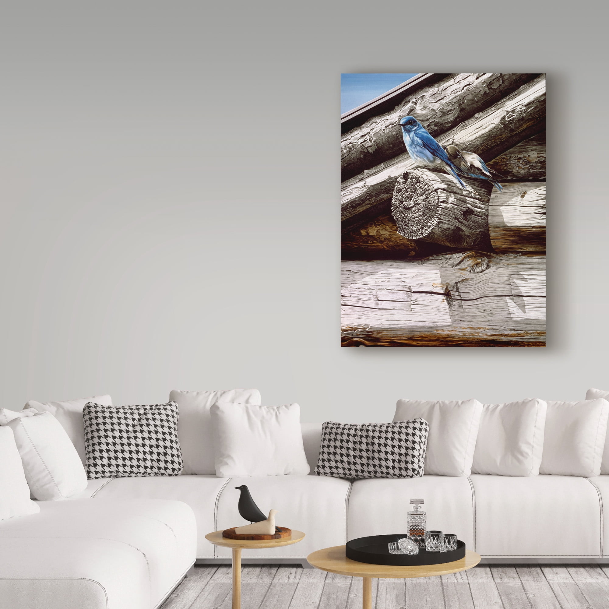 Trademark Fine Art 'Weathered Wood' Canvas Art by Ron Parker