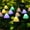 Multi-colour, variant on Rirool Mushroom Solar Lights, 8 Modes 12 LED Outdoor Waterproof Solar Garden Lights, Color Mushroom Solar Lights Landscape Pathway Lights