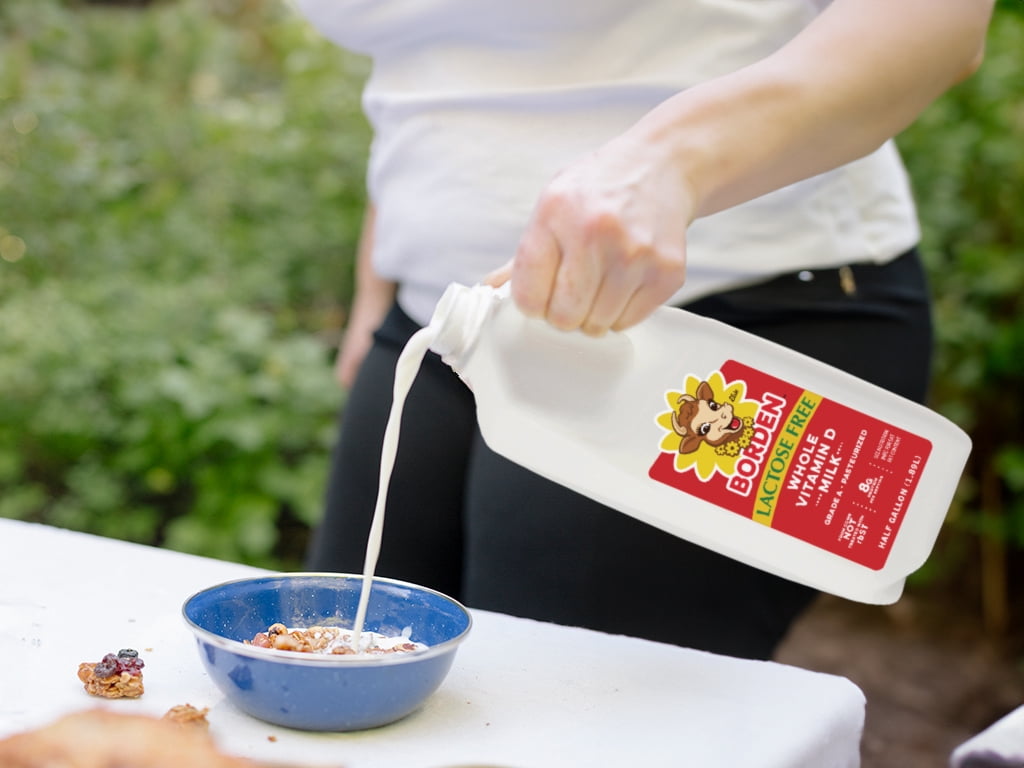 Borden Lactose Free Whole Vitamin D Milk, 1 Half Gallon Jug, Contains Dairy, Liquid, Unflavored, Refrigerated,