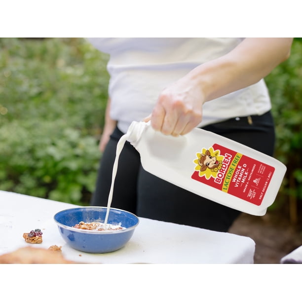Borden Lactose-Free Milk - Milk cartons for healthcare - Walmart