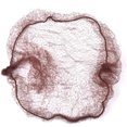 thumbnail image 2 of GHSDFBB Filet à Cheveux 100 Pcs, Filets à Cheveux Élastiques Invisibles de 20 Pouces pour Service Alimentaire, Chignon de Ballet, Sommeil, Femmes et Perruque, 2 of 7