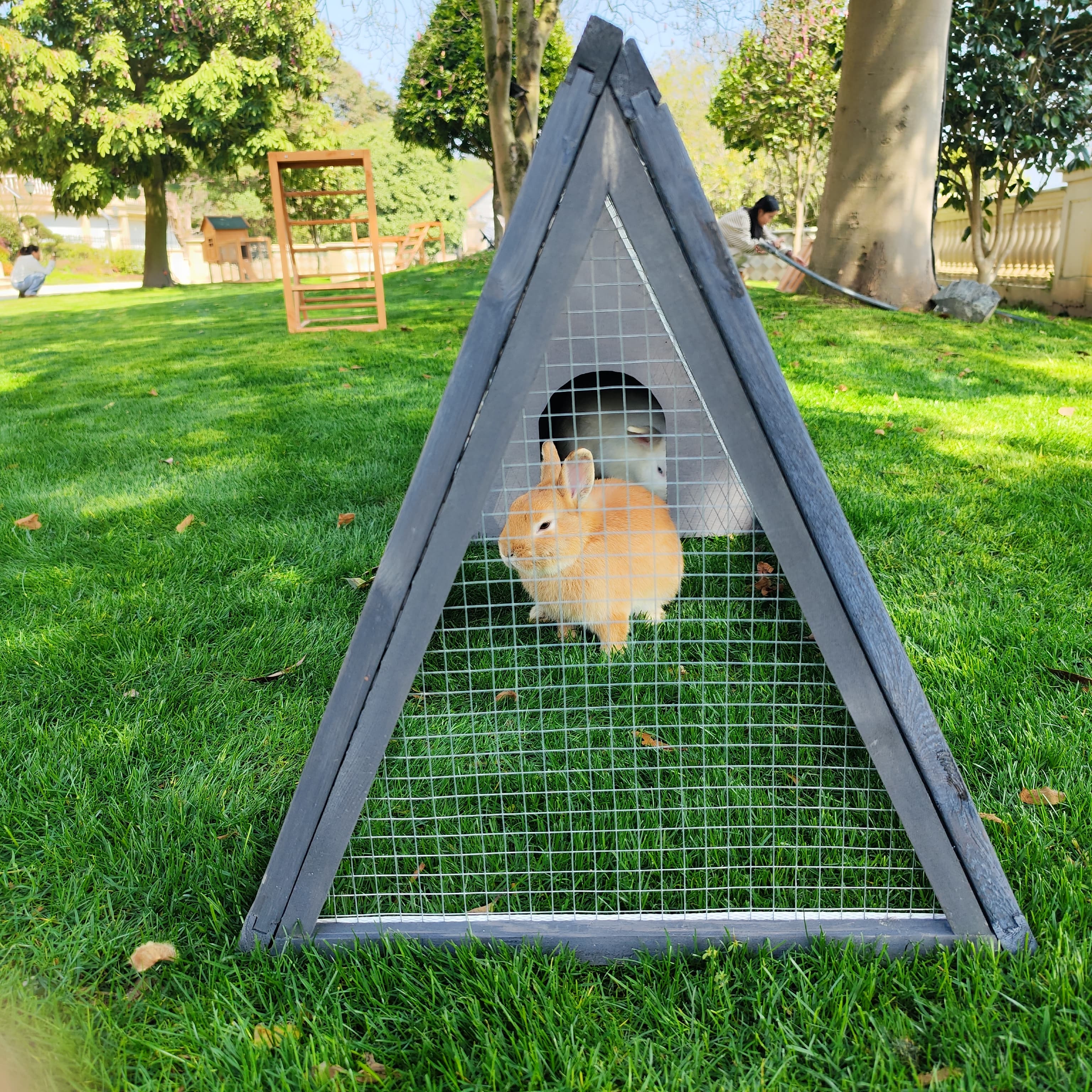 Rabbit Hutch Outdoor Small Chicken Coop Wooden Triangle Cage w/ Run and Ventilated Wire Mesh for Quail Reptile Small Animal