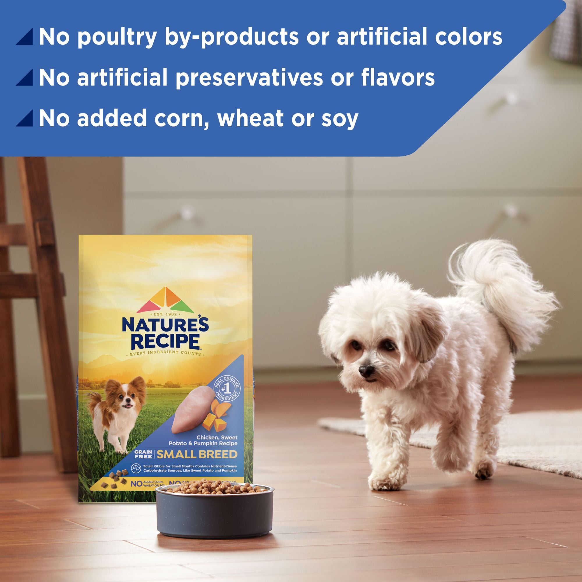 Walmart nature's 2025 recipe puppy