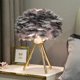 thumbnail image 5 of Lámpara de mesa de plumas para dormitorio de niña, lámpara de noche creativa, sencilla y moderna, luz de noche para habitación de boda, lámpara decorativa cálida, 5 of 5