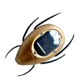 thumbnail image 1 of Juguete de energía Solar para niños, hormiga, cucaracha, Araña, Tortuga, cangrejo, mariposa, insectos, juguetes educativos para niños y niñas, regalo de cumpleaños, 1 of 4