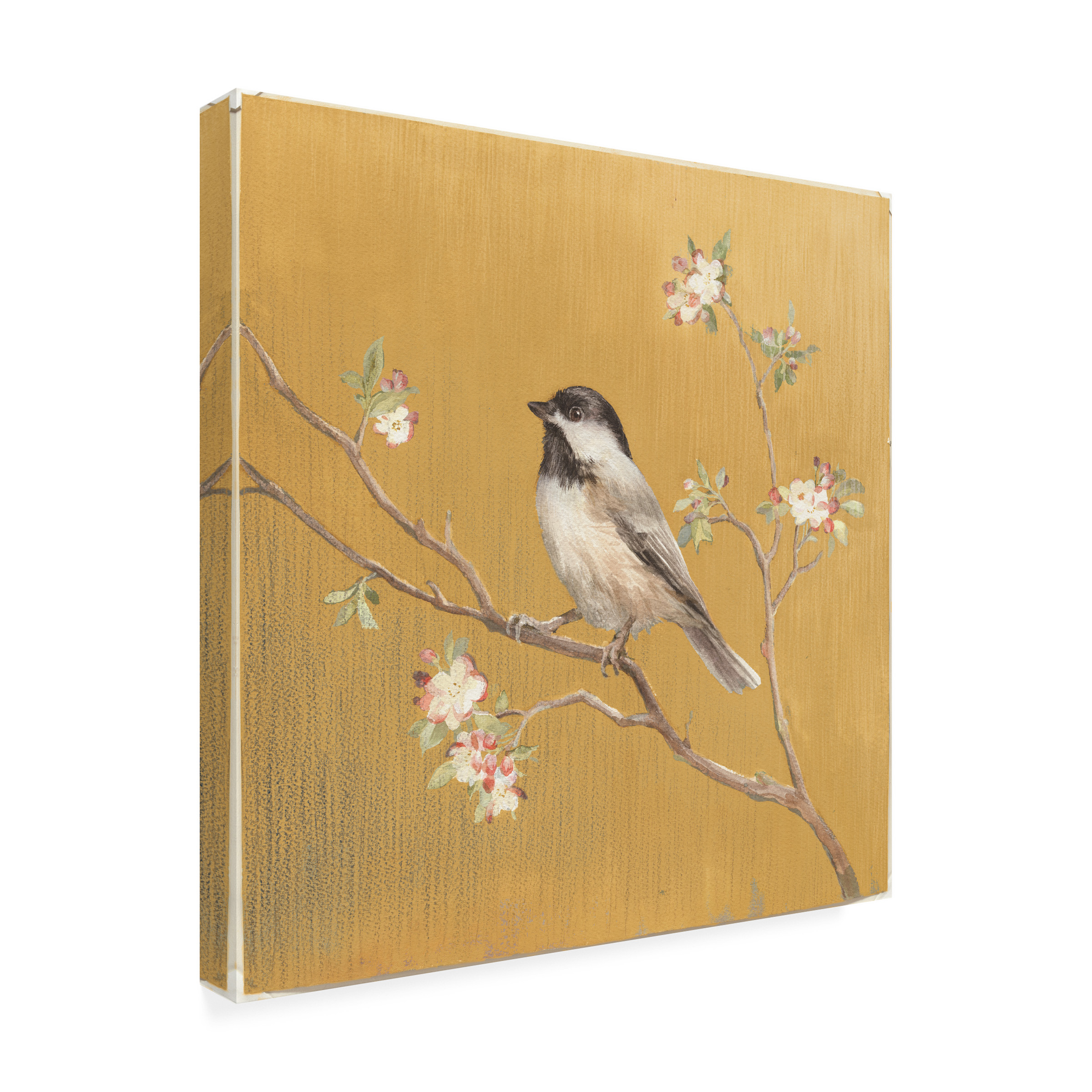 Trademark Fine Art 'Black Capped Chickadee on Gold' Canvas Art by Danhui Nai