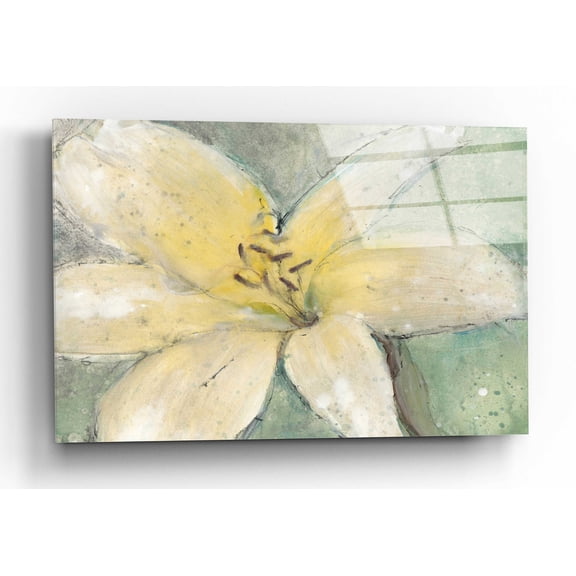 Epic Art 'Floral Spirit III' by Tim O'Toole, Acrylic Glass Wall Art, 16"x12"