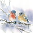 thumbnail image 2 of Pete, Katrina 12x12 White Modern Wood Framed Museum Art Print Titled - Bluebird Pair, 2 of 4
