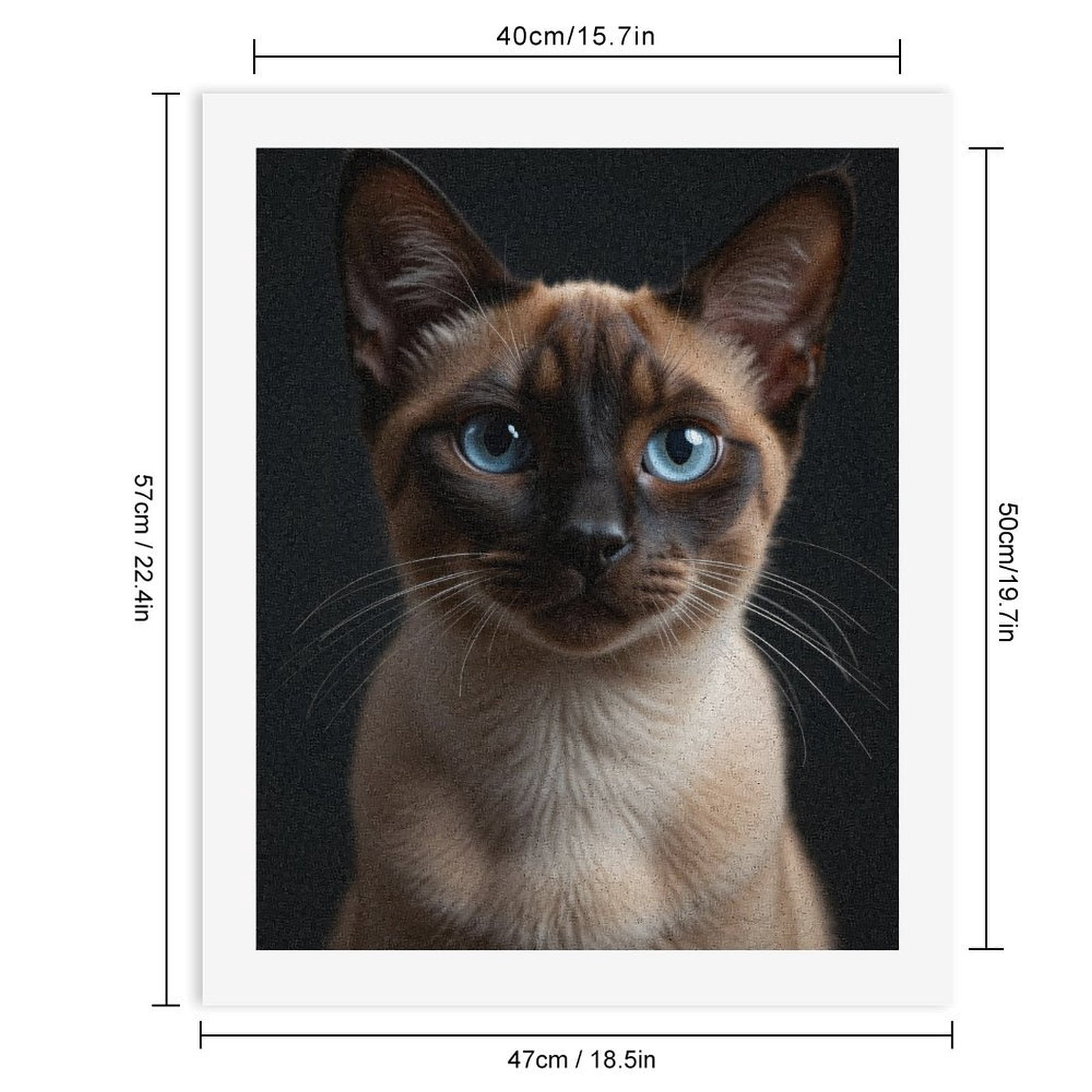 Paint by Numbers Kit for Adults, Blue Eyed Siamese Cat Portrait Paint by Numbers, Easy Paint by Numbers Kit for Adults Beginner, DIY Adult Paint by Number Kits on Canvas, Home Decor