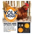 thumbnail image 5 of 17% Organic Crumbles Feed For Layer Chickens, 35 Lb Bag, 5 of 5