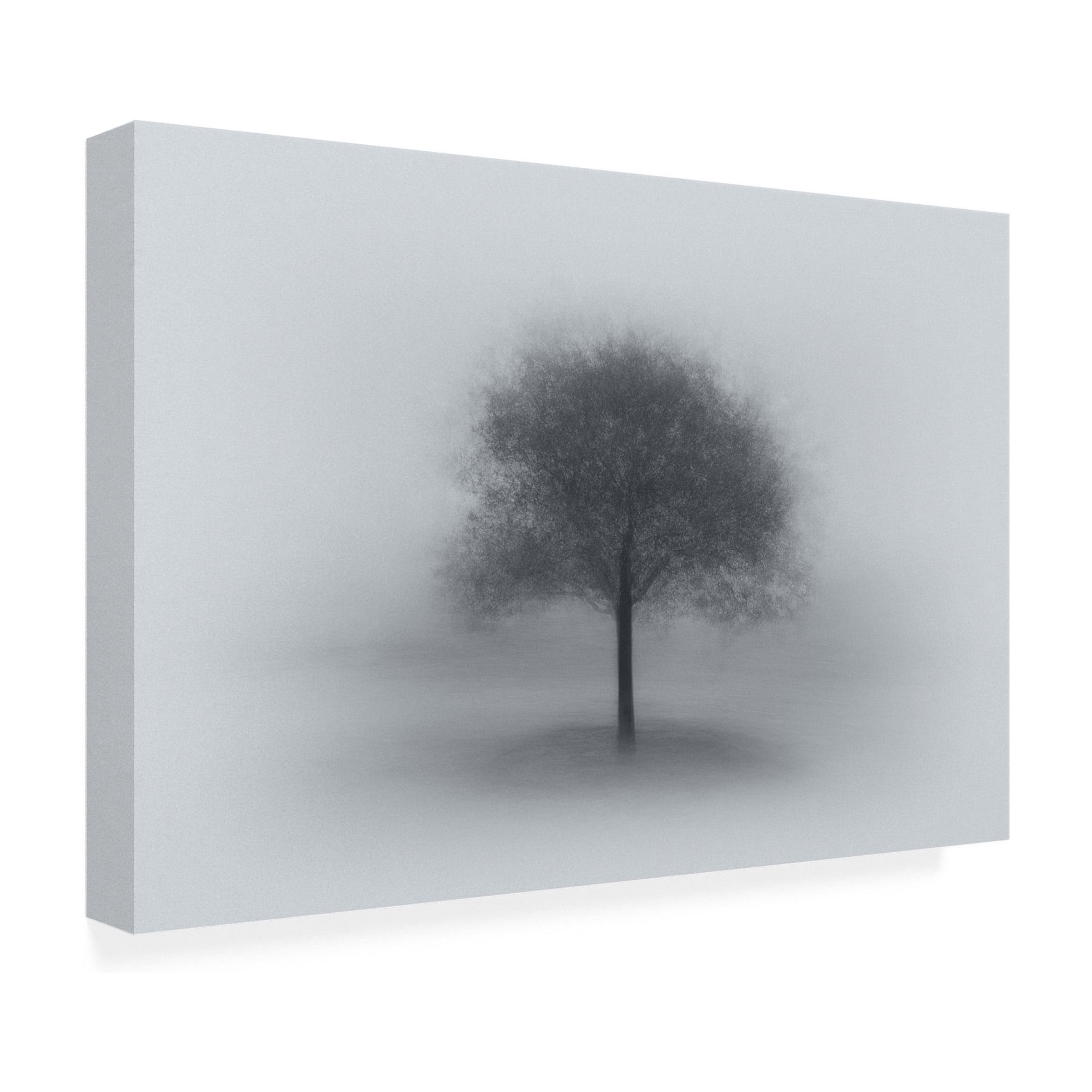 Aidong Ning 'Tree In Fog' Canvas Art