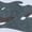 Storm, variant on Duke Mens D555 Gaston Camouflage Kingsize T-Shirt