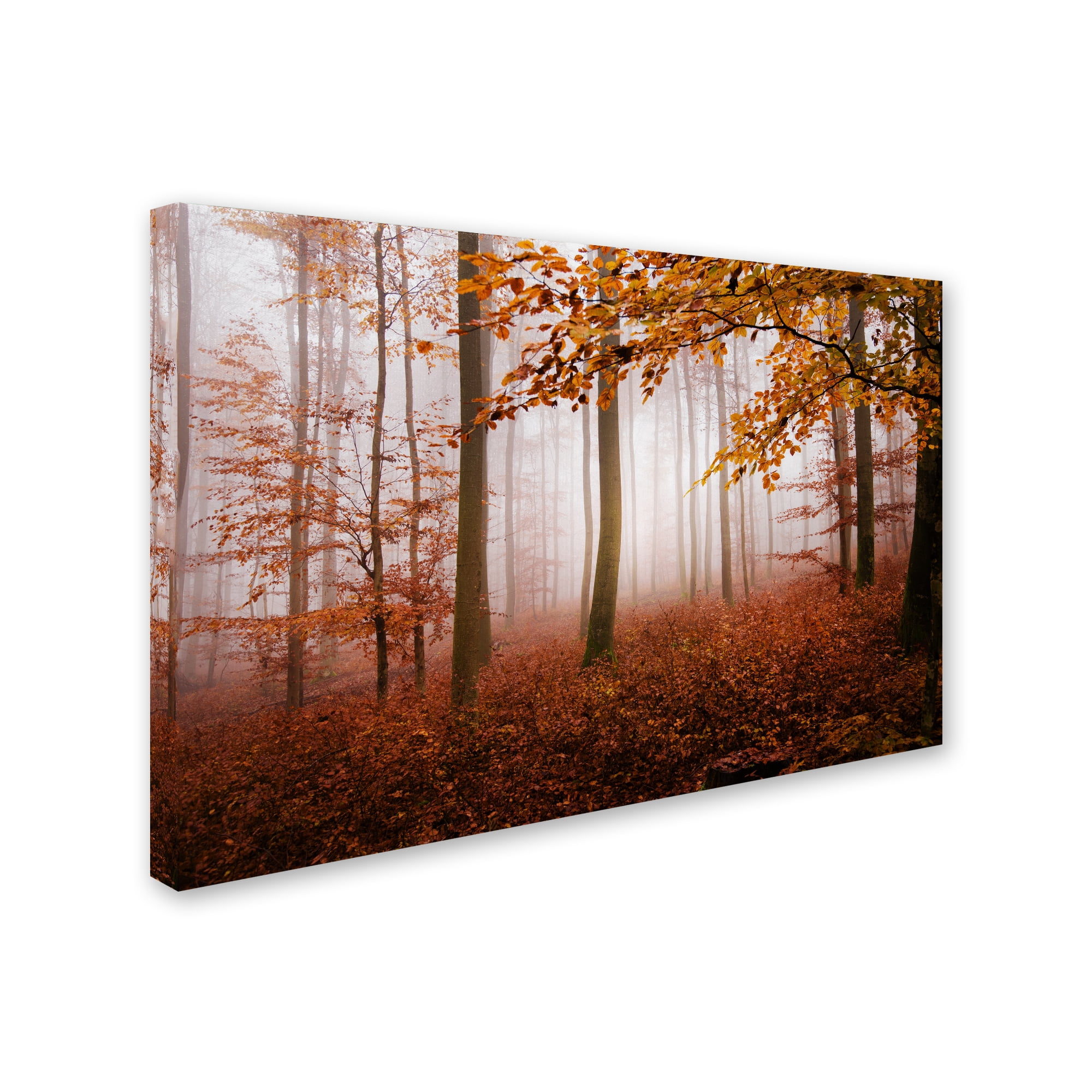 Trademark Fine Art "Breathe Me" Canvas Art by Philippe Sainte-Laudy
