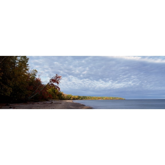 Trees at the lakeside Lake Superior Upper Peninsula Michigan USA Canvas Art - Panoramic Images (12 x 36)
