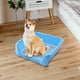 thumbnail image 1 of Orinal portátil para perros de interior, orinal para perros pequeños, alfombrilla con protección de pared, inodoro para perros para , azul Yinane Inodoro con bandeja de arena, 1 of 8