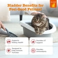 thumbnail image 2 of Zesty Paws Bacon Flavored Urinary Tract Bites for Cats, 60 Count, 2 of 11