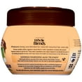 Garnier Whole Blends Hair Mask with Avocado Oil & Shea Butter Extracts 10.1 FL OZ