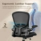 thumbnail image 2 of Silla de escritorio FelixKing ergonómica de malla lumbar ajustable, 2 of 8