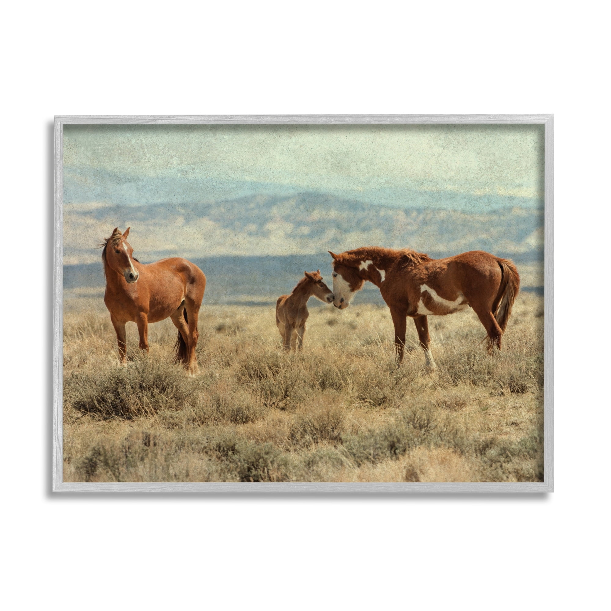 Stupell Industries Heartening Horse Foal Family Scenic Mountain Clouds Photograph Gray Framed Art Print Wall Art, Design by Jan Walters