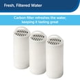 thumbnail image 3 of Filtros para fuentes de agua PetSafe Drinkwell 360, paquete de 12, 3 of 6