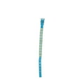 thumbnail image 1 of Aspen Pet Medium Padded Dog Collar, 1 of 1