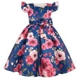 thumbnail image 2 of Odeerbi Kids Girls Floral Princess Dress Ruffle Sleeve Bowknot Gowns Birthday Party Dress Children's Printed Bow Dress Stage Performance Outfits Blue, 2 of 9