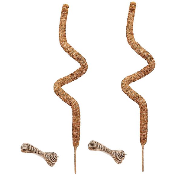Poste de musgo flexible de 48 pulgadas DENGXMXG para plantas trepadoras de interior 2 piezas