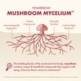 thumbnail image 4 of Host Defense MycoBenefits Beauty Capsules - 60 Capsules (30 Servings), 4 of 8
