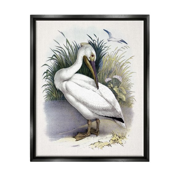 Stupell Industries White Pelican Bird Preening Grassy Riverbank Shore Painting Jet Black Floating Framed Canvas Print Wall Art, Design by Piddix