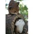 thumbnail image 2 of Renards Jouant, 2 of 4