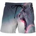 thumbnail image 3 of Trajes de baño para hombre Fire Tiger/Lion 3D Surf Board Shorts Niños Beach Shorts Hombres Trunks Traje de baño Masculino Pantalones deportivos Briefs Niño, 3 of 5