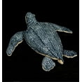 thumbnail image 4 of 30cm Giant Tortoise Turtle Plush Toy Stuffed Sea Animal Soft Doll Kids Gift, 4 of 14
