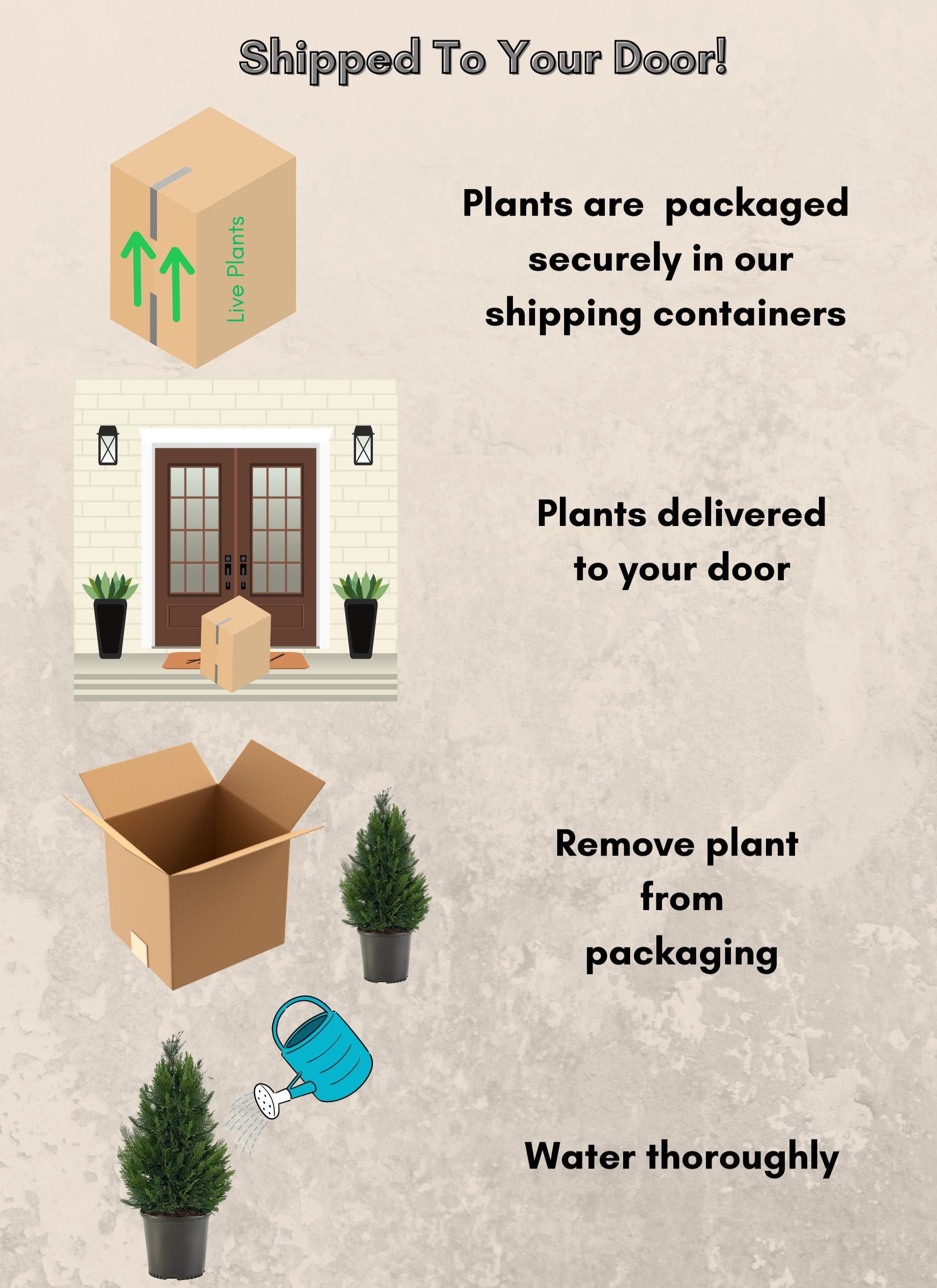 Expert Gardener 2.25 Gallon Leyland Cypress Evergreen Live Shrub