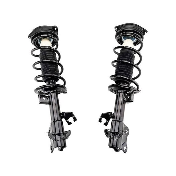 Front Strut Assembly Set - Compatible with 2009 - 2014 Nissan Cube 2010 2011 2012 2013