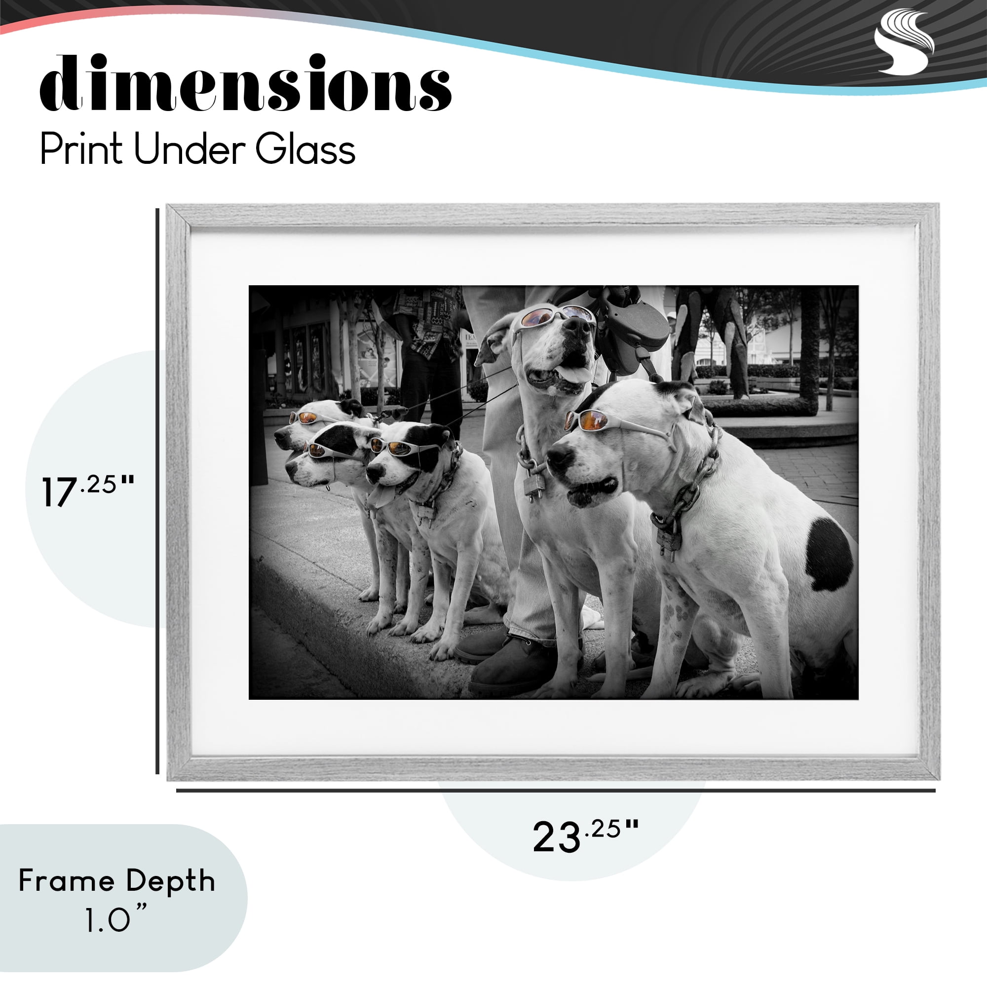 Stupell Industries Afternoon Stroll Pups Gray Framed Print Under Glass, design by Scott Henderson