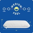 thumbnail image 5 of Sealy Dreamlife Memory Foam Pillow, King, 5 of 9