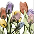 thumbnail image 2 of Art.com Tulipscape 2 Stretched Canvas Print Wall Art by Albert Koetsier, 16" x 16", 2 of 4