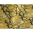 thumbnail image 3 of Ambesonne Woods Quilted Coverlet 3 Pcs, Leafless Branches Autumn Art, King Size, Earth Yellow Black, 3 of 4