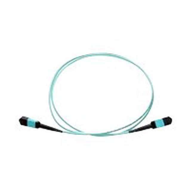 Axiom - Network cable - MTP/MPO multi-mode (F) to MTP/MPO multi-mode (F) - 25 m - fiber optic - 50 / 125 micron - OM3 - riser - aqua