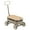 Grey, variant on Kidpop PULA Wild 3-in-1 Kid's Pull-Along Wagon Toddlers Push Walker for 2.5-8 Years Old