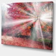 thumbnail image 2 of Lumière Mystique dans la Forêt d'Automne Rouge, 2 of 3