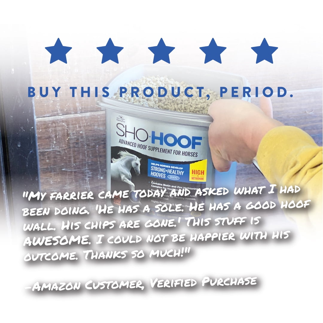 Manna Pro Sho-Hoof Supplement for Horses, Biotin and Zinc Methionine for Healthy Hooves, 5 lb
